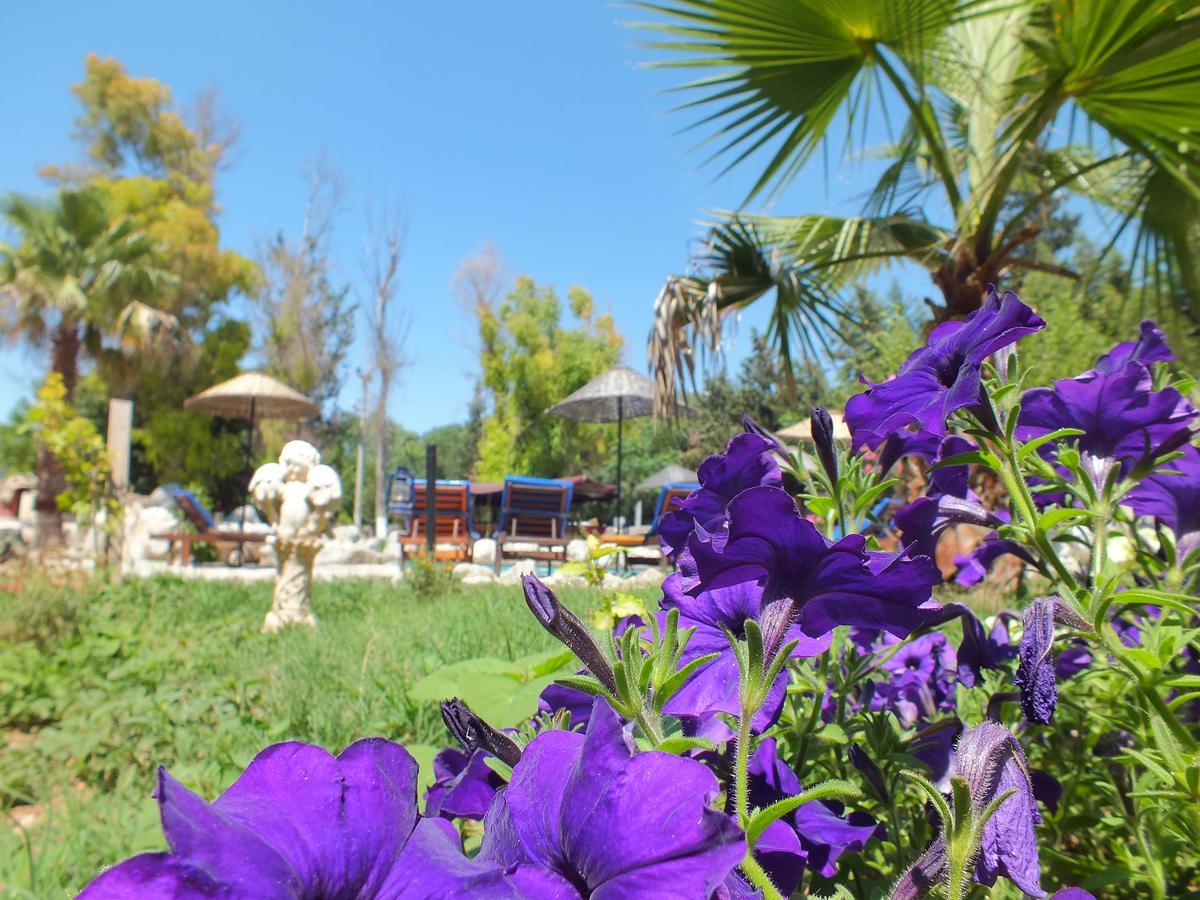 Utopia Lodge Hotel Ölüdeniz Extérieur photo