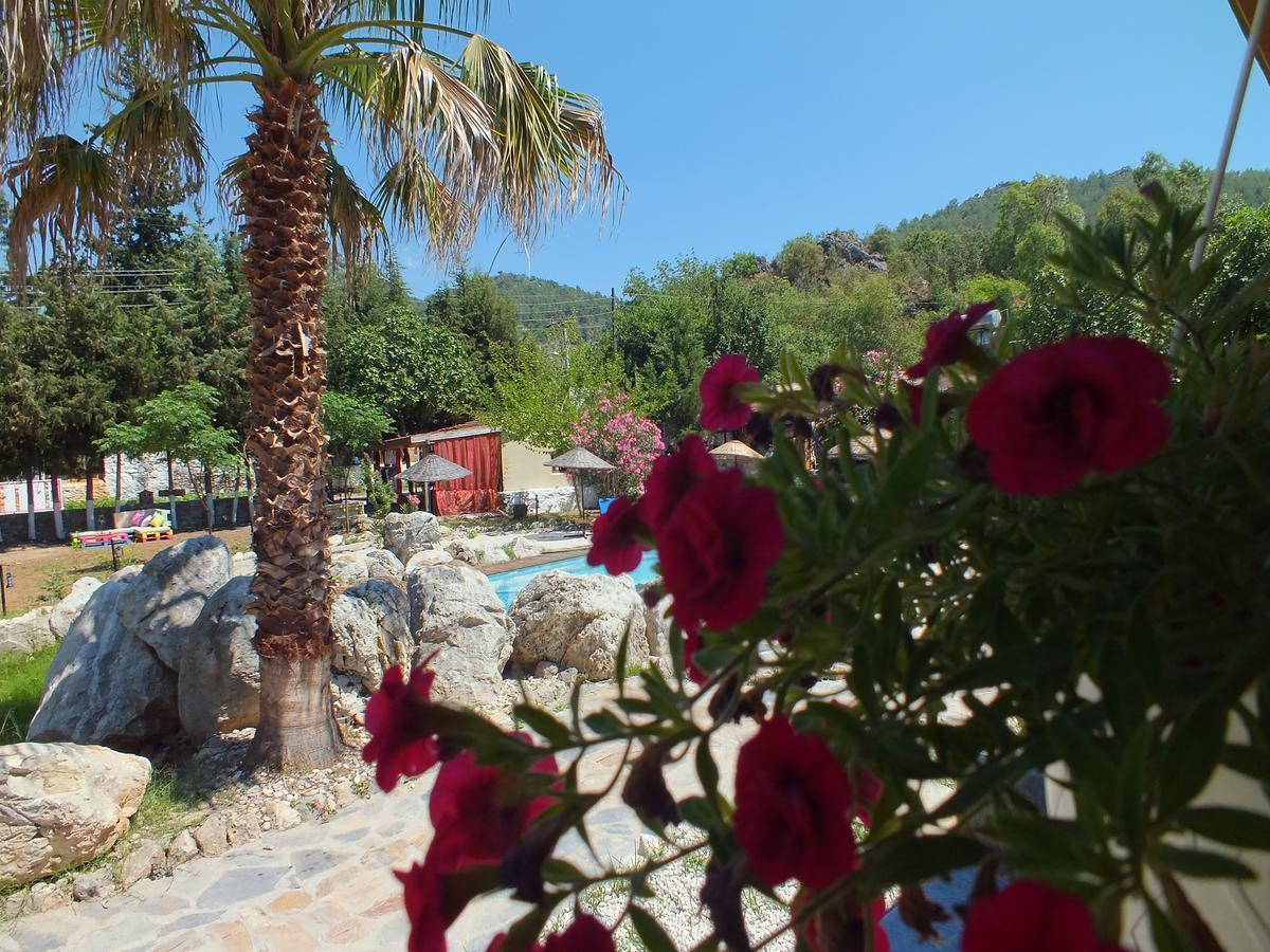 Utopia Lodge Hotel Ölüdeniz Extérieur photo