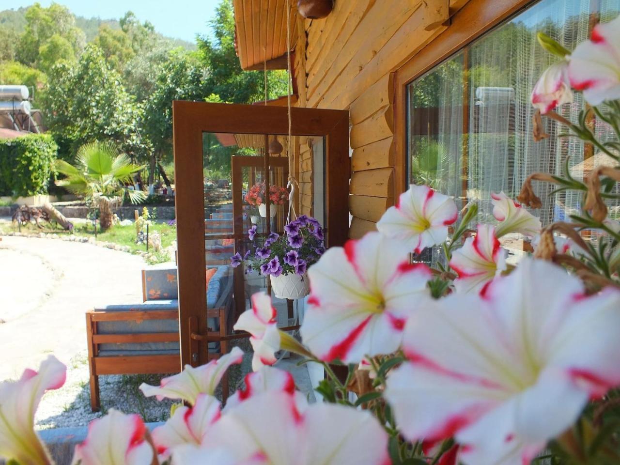 Utopia Lodge Hotel Ölüdeniz Extérieur photo